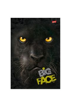 Kaustik A5/96l ruut ''Big Face'' 4 motiivi,70g, kõvad kaaned