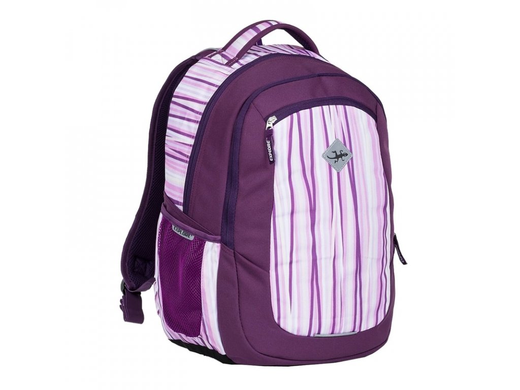 Seljakott/koolikott Explore 2-ühes Viki lillad triibud