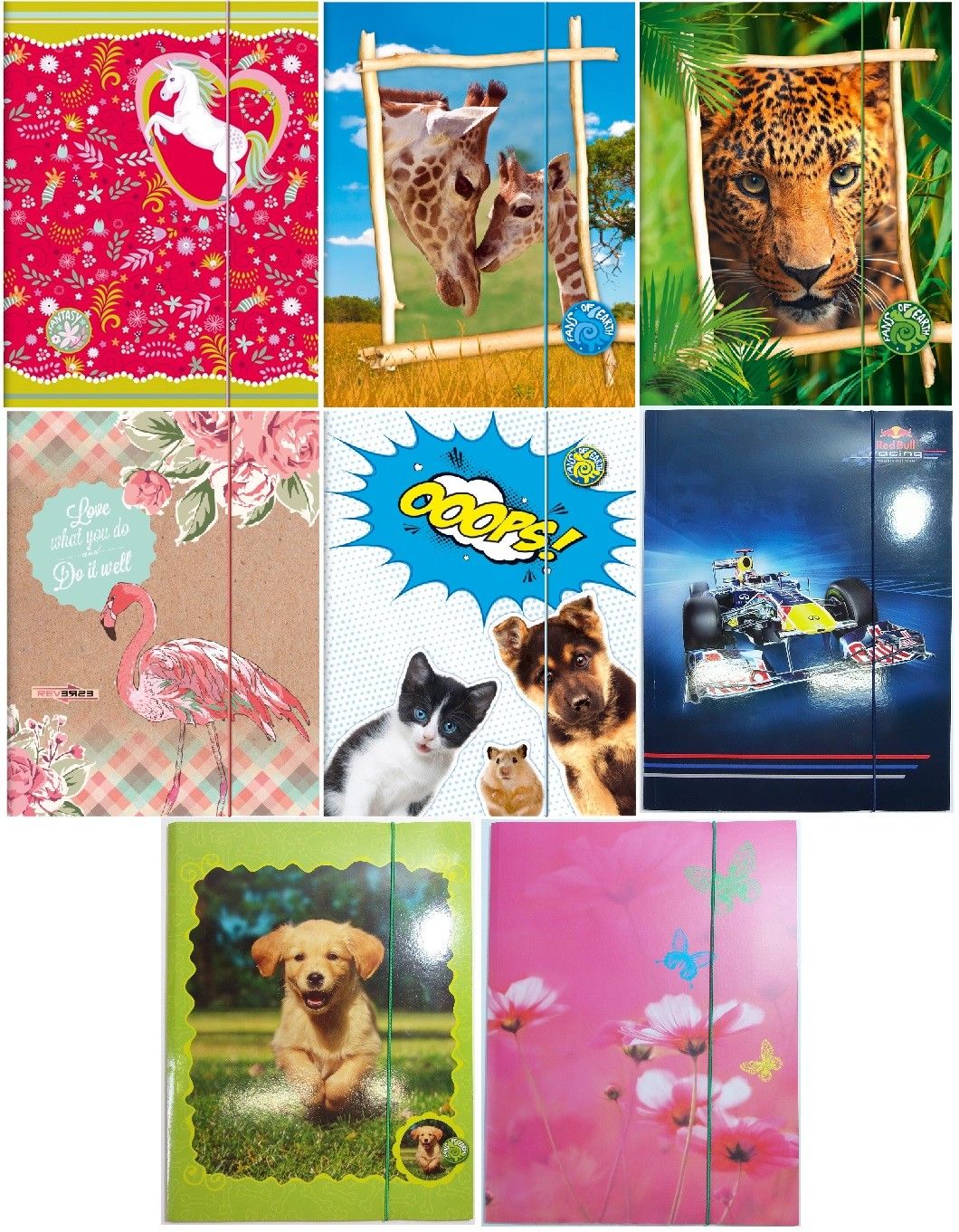 Kartongmapp kummiga Brunnen A4 ''FoE'' 2016 /10 EOL