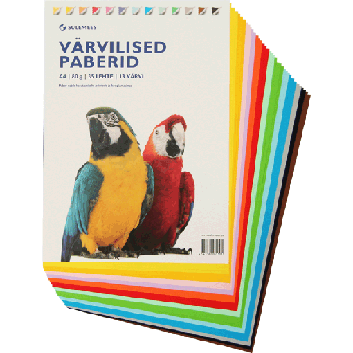 Värviline paber A4 80g 13värvi 35lehte kahepoolne kileümbrikus, Sulemees (133)