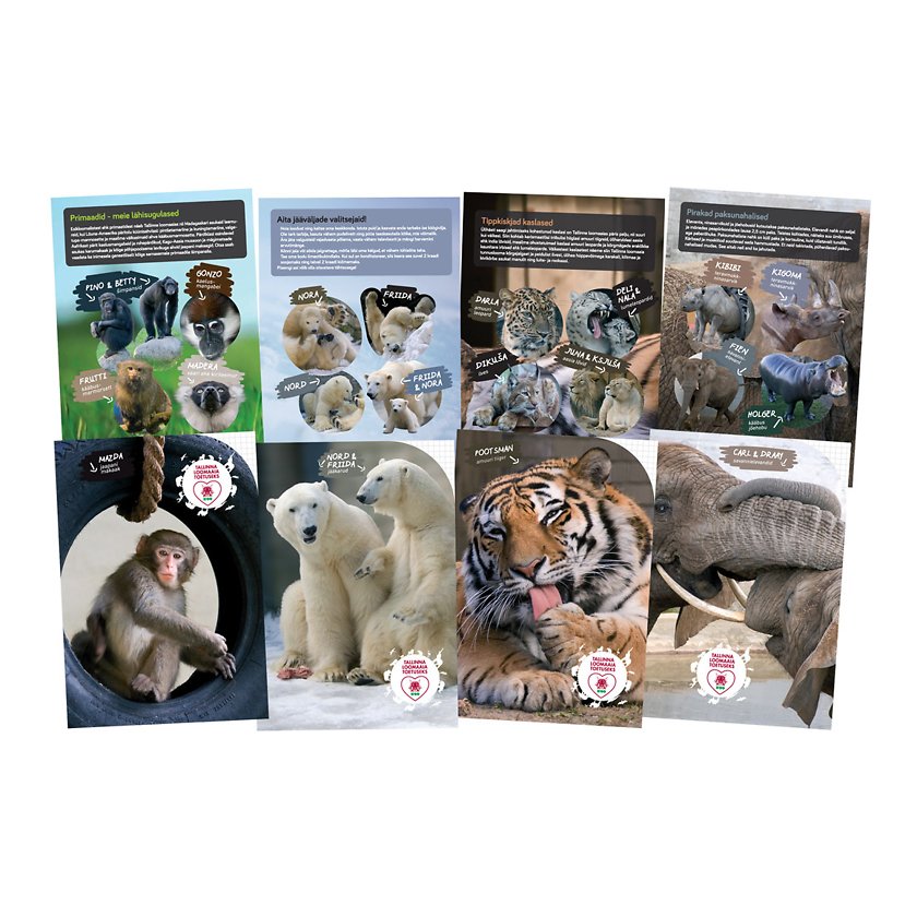 Vihik A5/12l ruut „Loomad“,4 motiivi, 70g