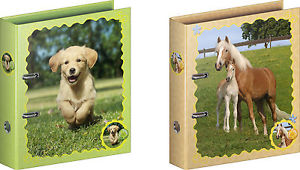 Registraator A4/8cm ''FoE'' 2014 2 motiivi, Brunnen/10