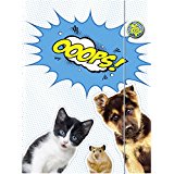 Kartongmapp kummiga Brunnen A3 ''FoE'' 2016 /10