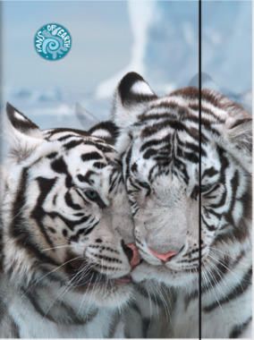 Kartongmapp kummiga Brunnen A3 ''FoE'' 2017 /10 EOL