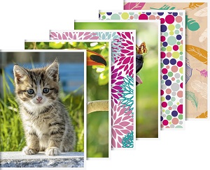 Märkmik A6/32l 70g joon pildiga 6 motiivi, Brunnen /20